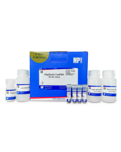 MagBeads FastRNA Kit for Virus 