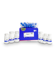SPINeasy® Plasmid Midiprep Kit