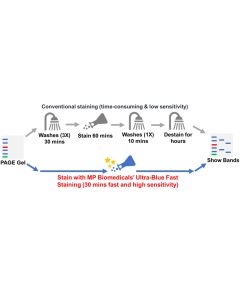 Ultra-Blue Fast PAGE Gel Staining Solution