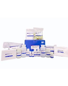 SPINeasy 96-Well DNA/RNA Kit for Soil