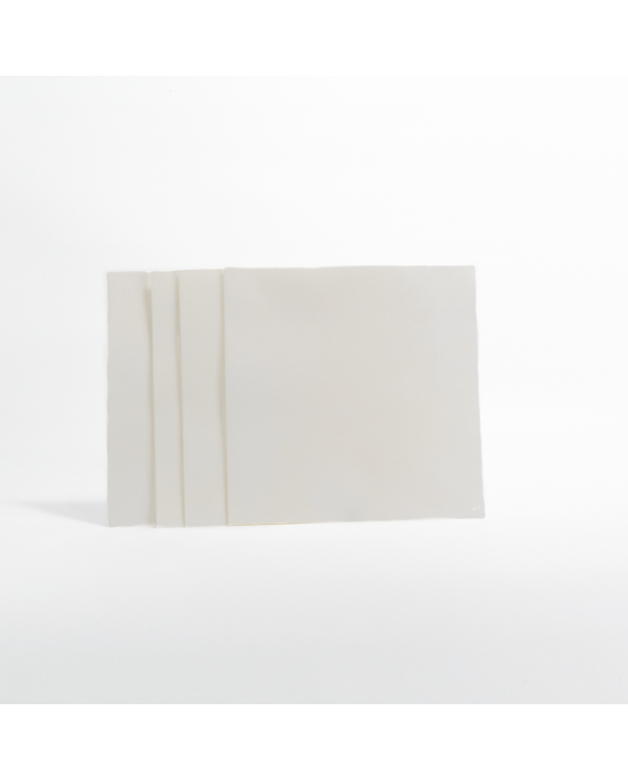 BIOTRANS PVDF membrane sheet