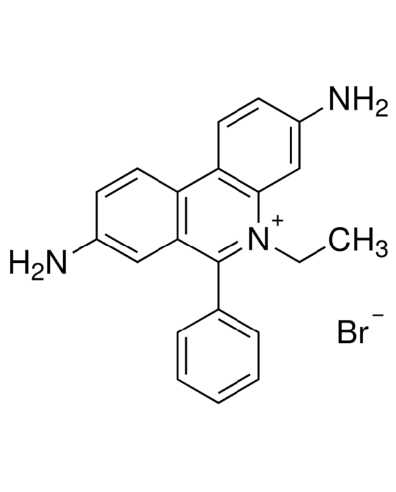 11ETBC1001.png