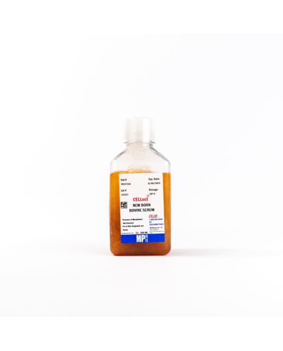 Serum, newborn bovine (NBS)