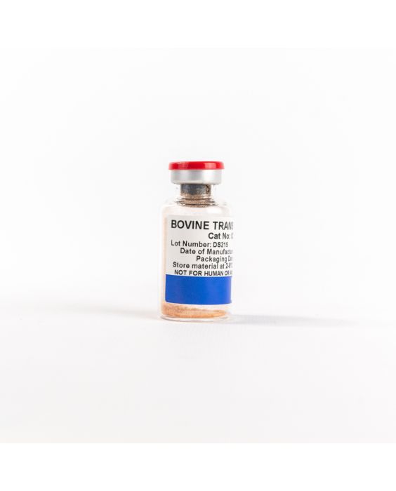 NZ Bovine Transferrin (Holo), Heat Treated