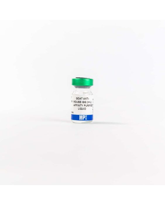 Anti-mouse IgG (H+L) (whole molecule) goat antibody, 2 mg