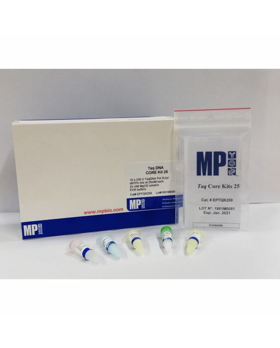Taq CORE kit 25