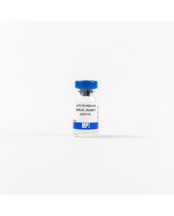 0865850-anti-thyroxine-serum-rabbit-anti-t4.jpg