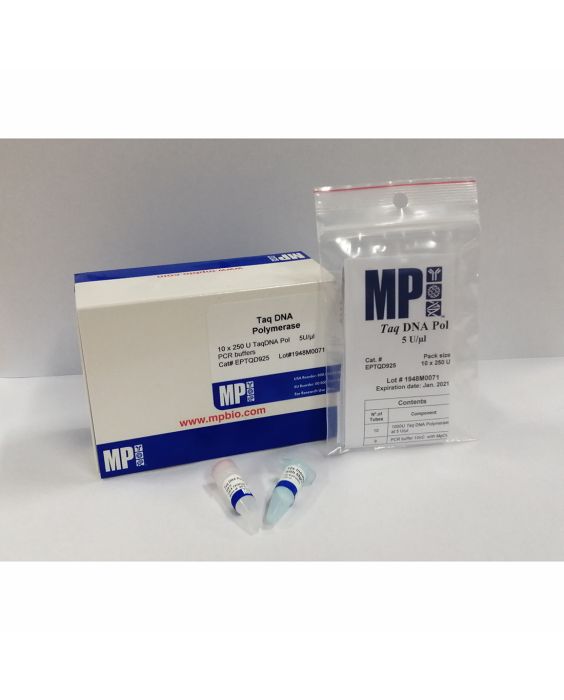 Taq DNA polymerase (5 U/µl)