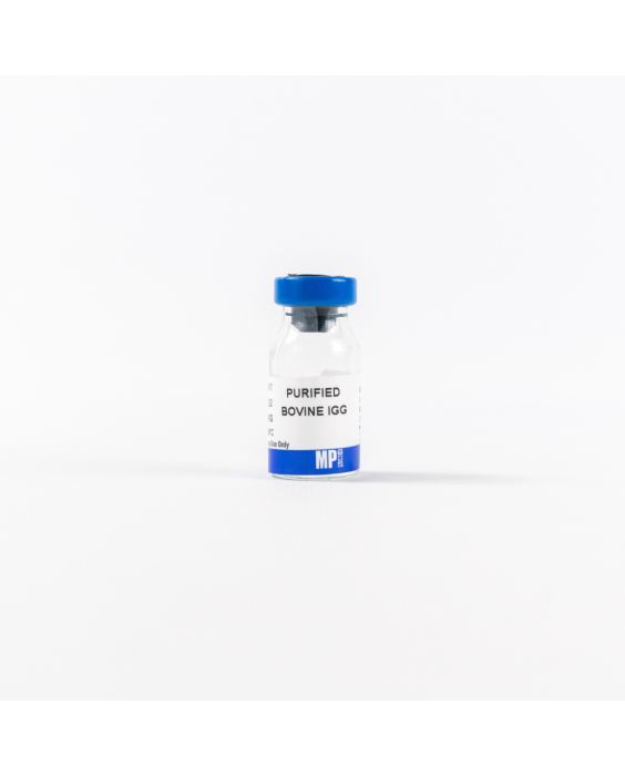 Purified bovine IgG, 50 mg