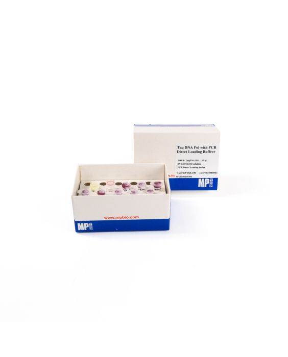 Taq DNA polymerase (5 U/µl)