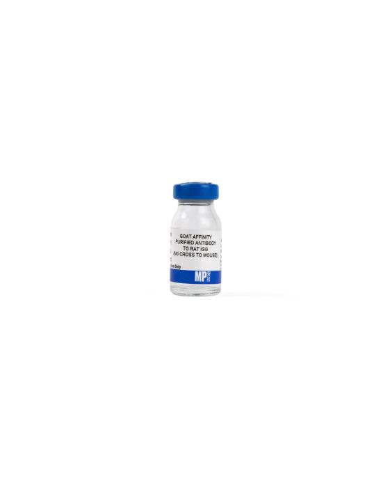 Anti-rat IgG (no cross to mouse) goat affinity-purified antibody, 2 mg