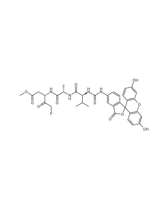 FITC-Val-Ala-Asp(OMe)-FMK
