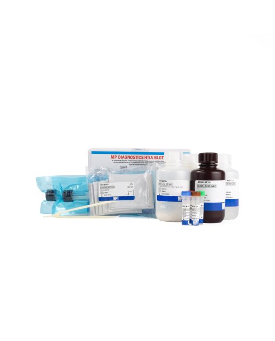 htlv-blot-2.4-0711088036