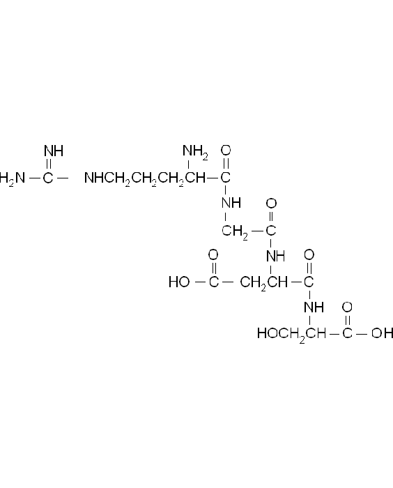Arg-Gly-Asp-Ser, 2 mg