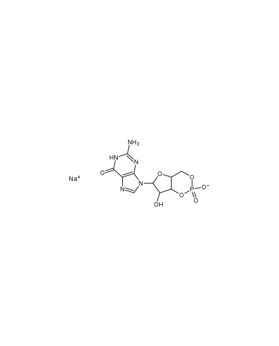 Guanosine-3',5'-cyclic-monophosphate, 25 mg