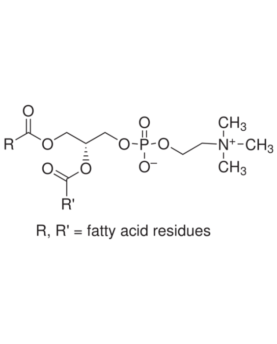Lecithin, water dispersable grade, ≥90%