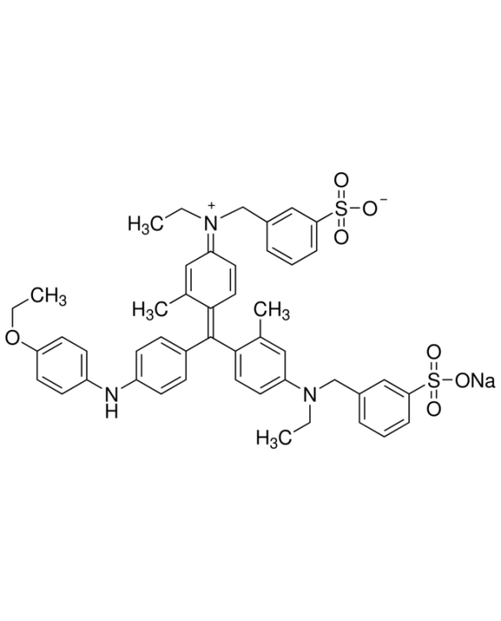 04808274.png