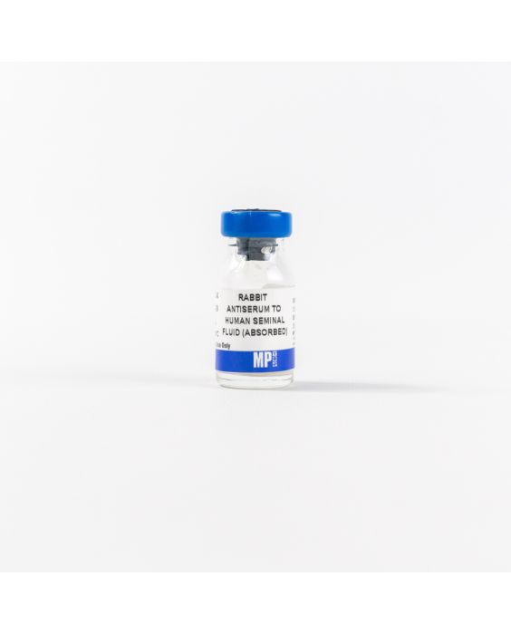 Anti-human seminal fluid (absorbed) rabbit antiserum, 2 mL