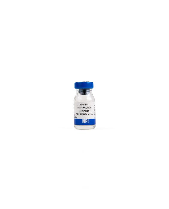 Anti-sheep red blood cells rabbit IgG fraction, 2 mL