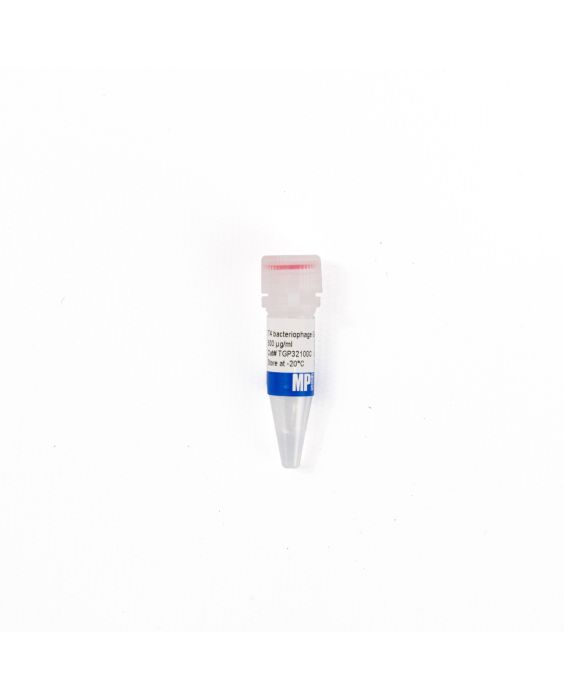 T4 bacteriophage gene 32 protein