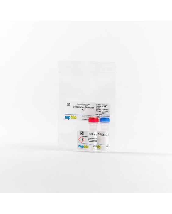 FastCellular™ senescence detection kit - SPiDER-ΒGal, 1 kit