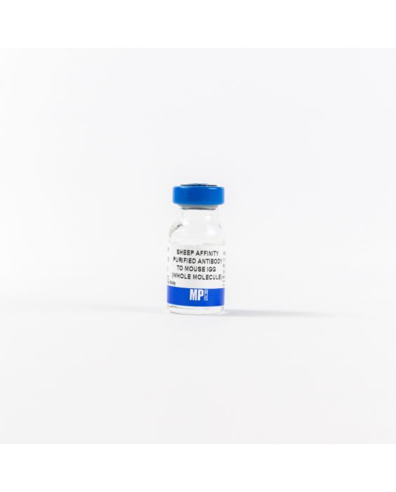 Anti-mouse IgG (whole molecule) affinity-purified sheep antibody, 2 mL