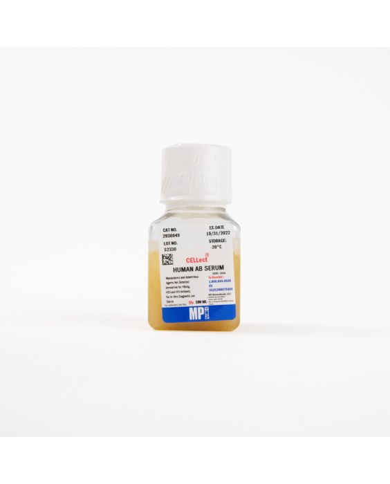 Serum, type AB, human, from male donors, 100 mL