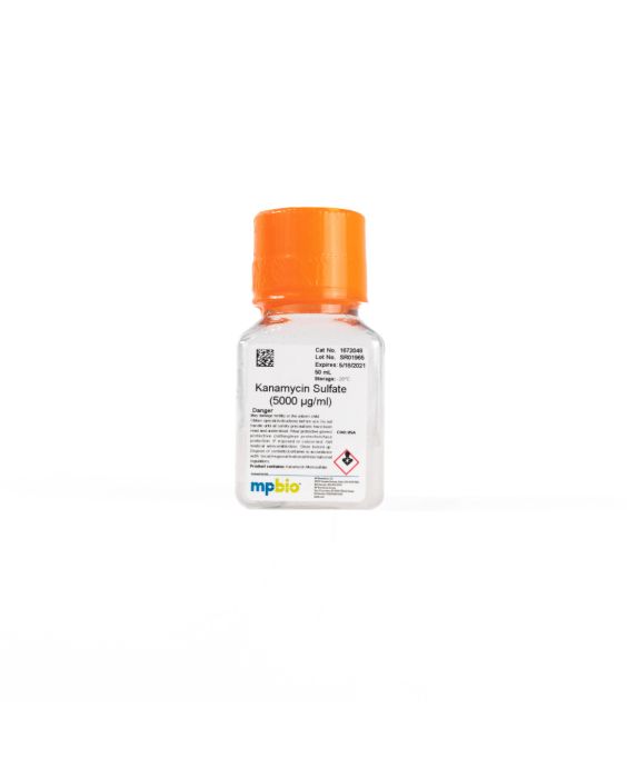 Kanamycin (5000 µg/mL), 50 mL