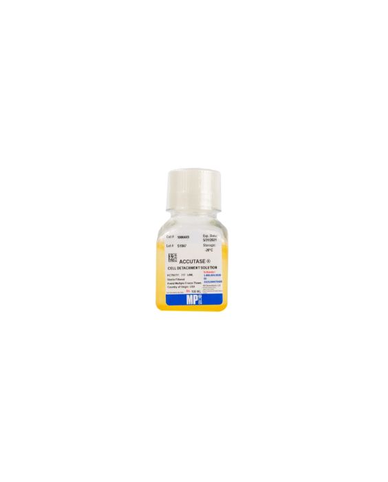 Accutase, 100 mL