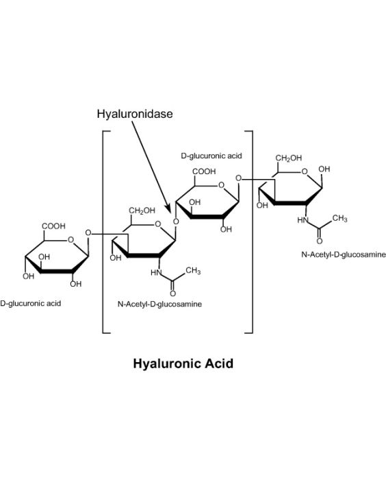 Hyaluronidase, >1500 U/mg