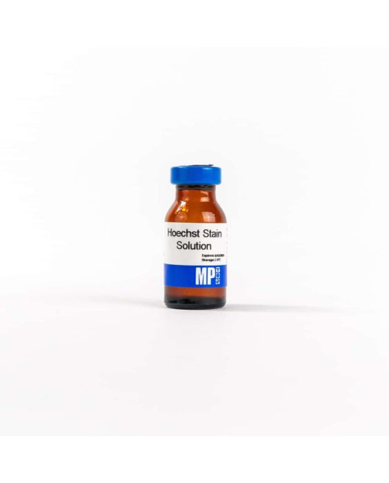 Hoechst stain solution, 10 mL