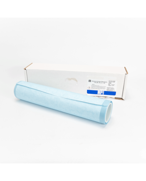 BIOTRANS (+) tranfer membrane