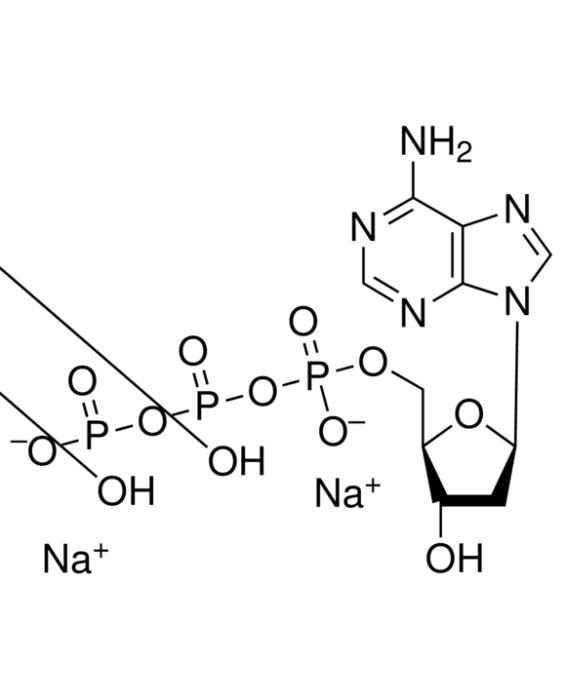 2'-Deoxyadenosine-5'-triphosphate, 25 mg