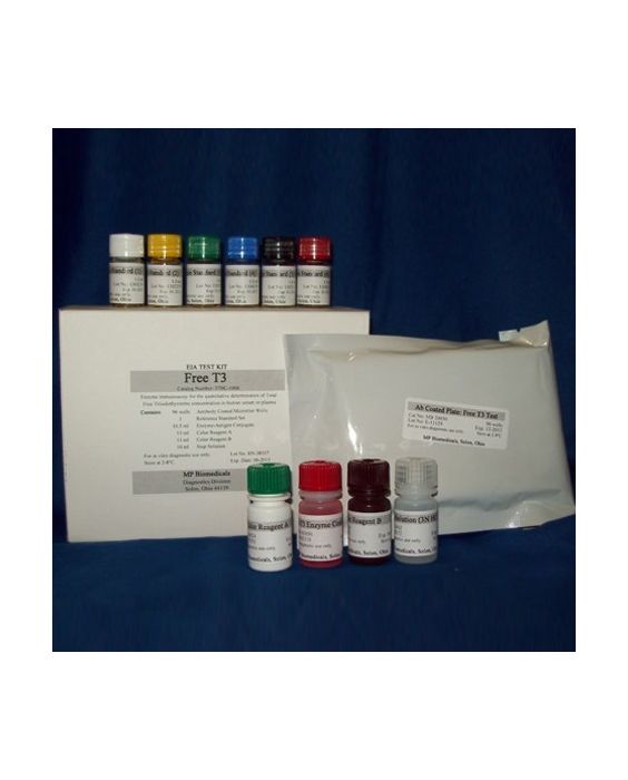 Free T3 (Triiodothyronine) ELISA Kit