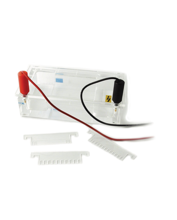 minicuve 8 10 electrophoresis