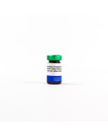 Peroxidase-Conjugated Goat Affinity Purified Antibody to Rabbit IgG (Whole Molecule) - 2mL