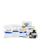FastDNA™ SPIN Kit for Feces, 2 mL tubes