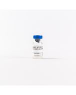 Anti-human albumin rabbit antiserum, 2 mL