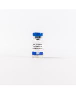 Goat Anti-Guinea Pig IgG (H&L), 2 mL