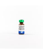 Goat Anti-Rabbit IgG (Whole Molecule), AP Conjugated, 1 mL