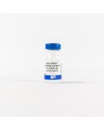 Anti-human IgA (Alpha Chain) affinity-purified goat antibody, 1 mg