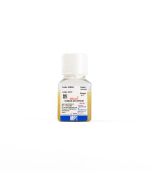 Serum, type AB, human, (HCV, HIV, HbsAG Free), heat inactivated, 100 mL