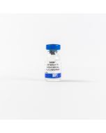 Anti-human seminal fluid (absorbed) rabbit antiserum, 2 mL