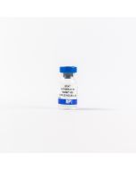 Anti-rabbit IgG (whole molecule) goat antiserum, 2 mL