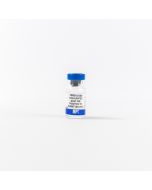 HRP IgG Goat Anti-Rabbit IgG (H&L), 2 mL