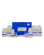 MagBeads FastDNA&reg; Kit, 192 preps
