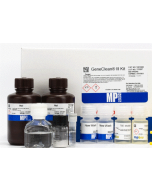 111001600-geneclean-iii-kit.jpg