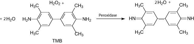 3,3',5,5'-Tetramethylbenzid