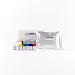 Testosterone - Reproduction - Diagnostics