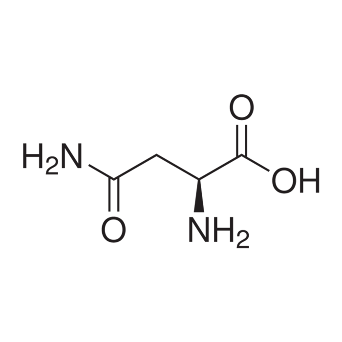 naaaページ L-Asparagine